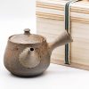 Shop Teaware Tokoname-yaki Kyusu (Teapots) | Japan Kyusu - Tanikawa Jin - Mogake Tanka Tokoname Teapot - 250Ml