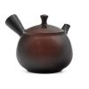 Shop Teaware Tokoname-yaki Kyusu (Teapots) | Kyusu - Iwase Koji - Polished Black And Red Yohen Tokoname Teapot - 180Ml