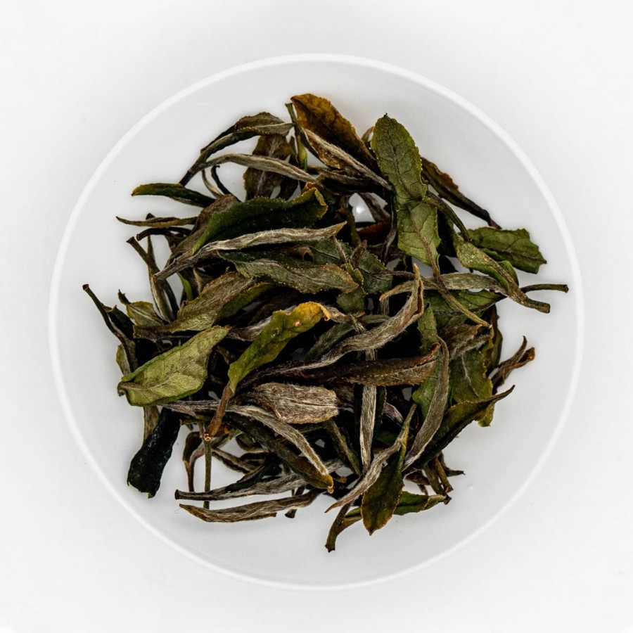 Homeshop Tea Tezumi Specialty White | Heshu Premium Zailai White Tea