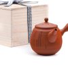 Shop Teaware Tokoname-yaki Kyusu (Teapots) | Kyushu, Japan - Reiko - Engraved Poetry Sujibiki Tokoname Teapot - 280Ml