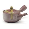 Shop Teaware Banko-yaki Kyusu (Teapots) | Kyusu Japan - Gray Glaze Banko Mesh Teapot - 220Ml