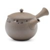 Shop Teaware Tokoname-yaki Kyusu (Teapots) | Japanese Kyusu - Tsuzuki Yutaka - Flower-Fired Stone Tokoname Teapot - 320Ml